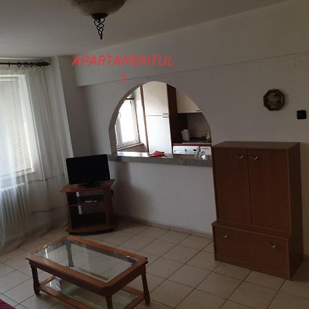 Apartament Cu 2 Camere,Ultracentral In Arad Eksteriør bilde