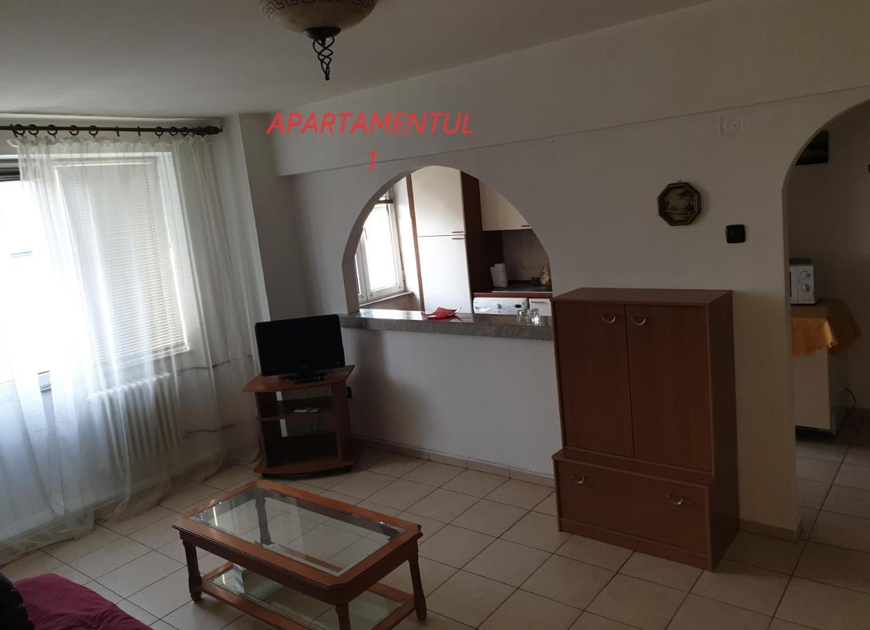 Apartament Cu 2 Camere,Ultracentral In Arad Eksteriør bilde