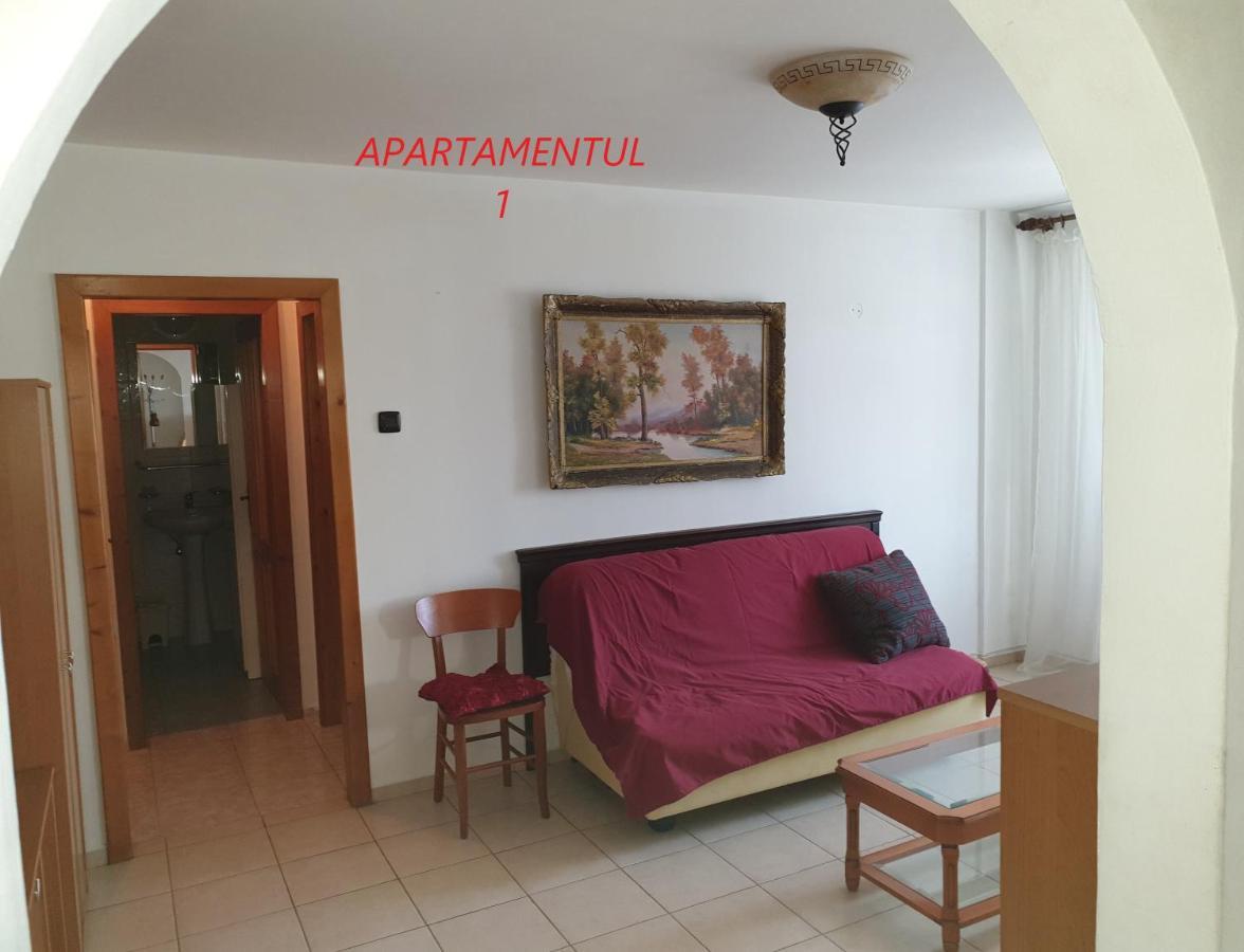 Apartament Cu 2 Camere,Ultracentral In Arad Eksteriør bilde