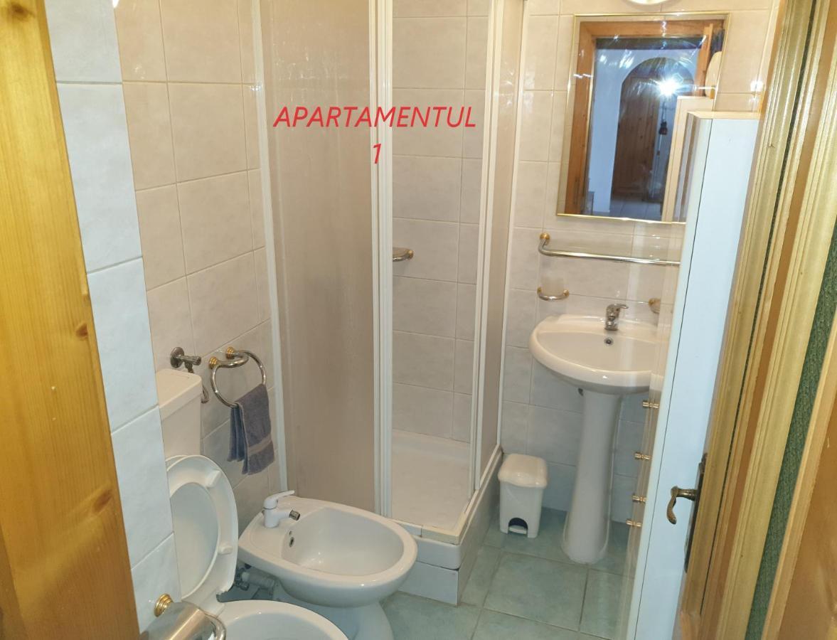 Apartament Cu 2 Camere,Ultracentral In Arad Eksteriør bilde