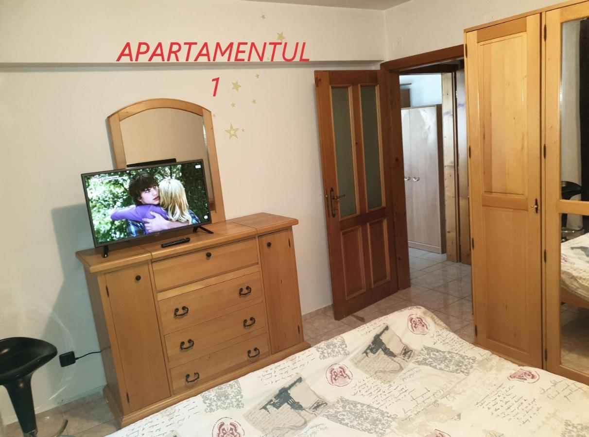 Apartament Cu 2 Camere,Ultracentral In Arad Eksteriør bilde